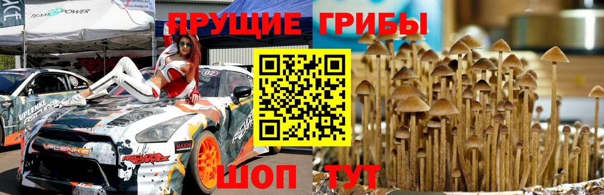 Можайск  сколько стоит  Вход с VPN  Псилоцибиновые грибы мухоморы 